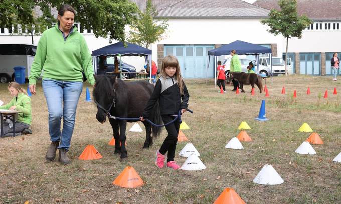 Erwachsene, Kinder, ein Pony und ein Parcours aus Hütchen