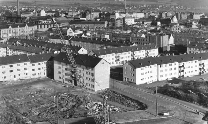 Pressefoto Pferdemarkt Kassel