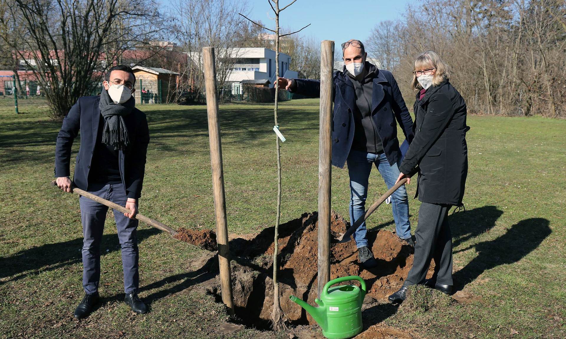 Pressefoto Pflanzung Birnbaum