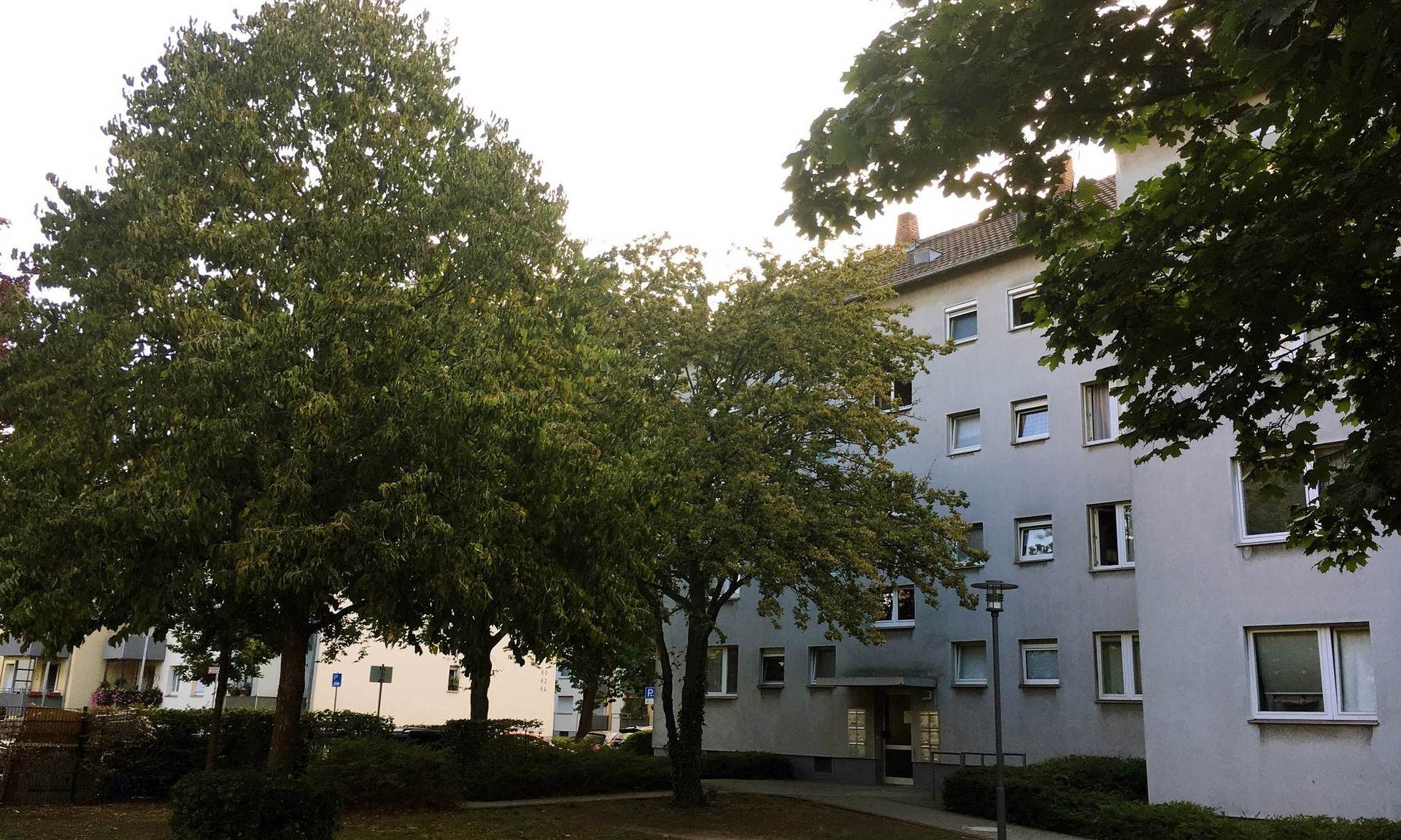 Baumbestand der NHW in Frankfurt-Griesheim. Foto: NHW.