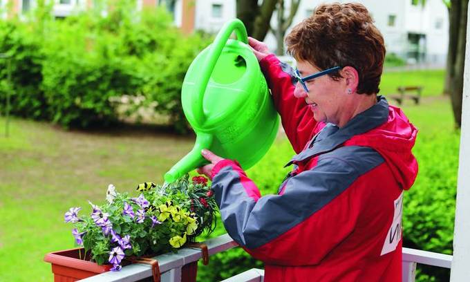 Einkaufen, Hausputz, Blumen gießen