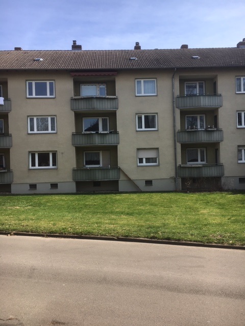 Hier könnte Ihr neues Zuhause warten